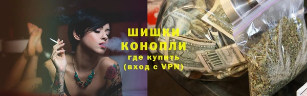 spice Аркадак