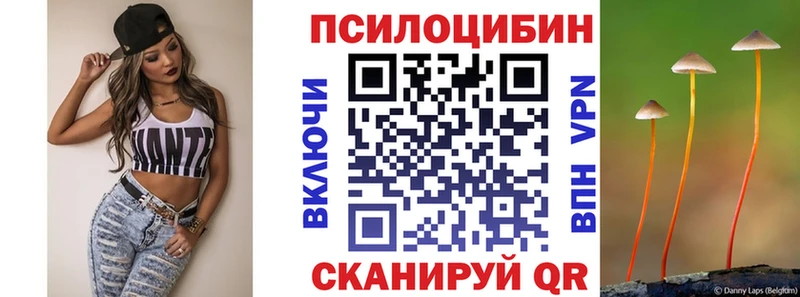 Псилоцибиновые грибы GOLDEN TEACHER  Покровск 